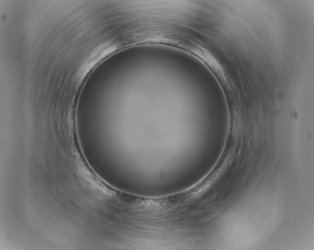 X0000088710806200705311356