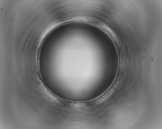 X0000088710808200705311356