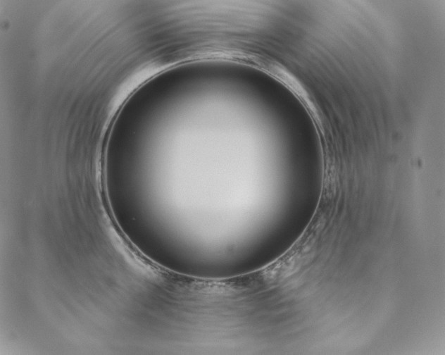 X0000088710811200705311356