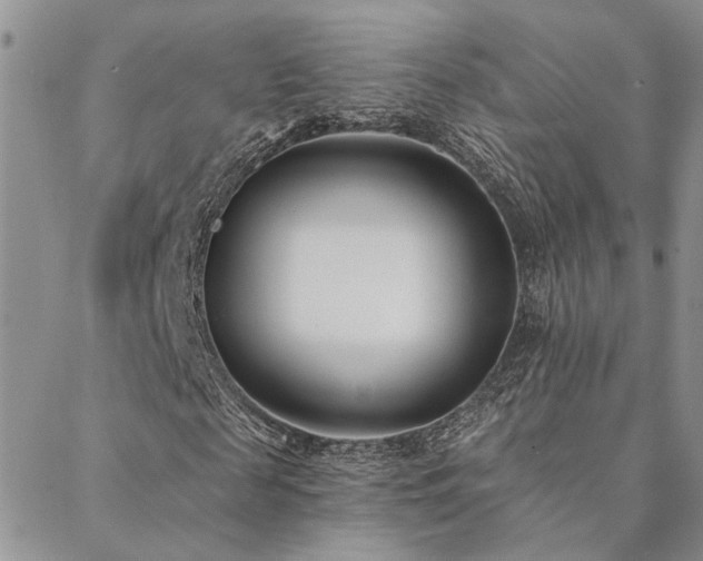 X0000088710817200705311355