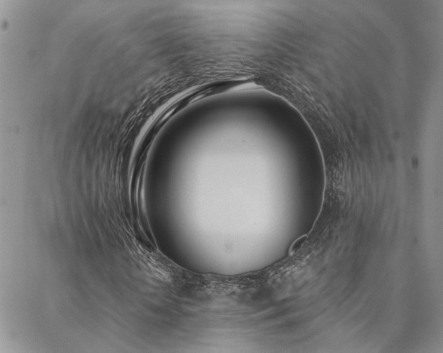 X0000088710818200705311355