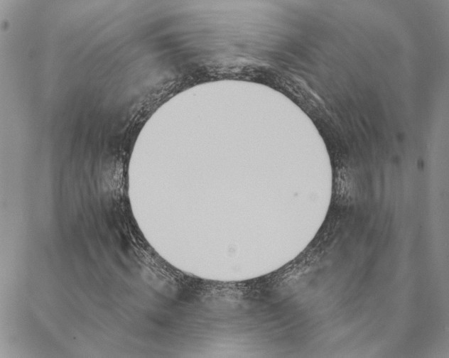 X0000088710820200705311355