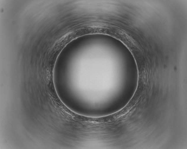 X0000088710821200705311355
