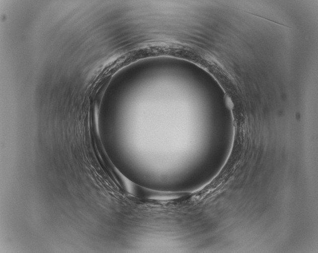 X0000088710822200705311355