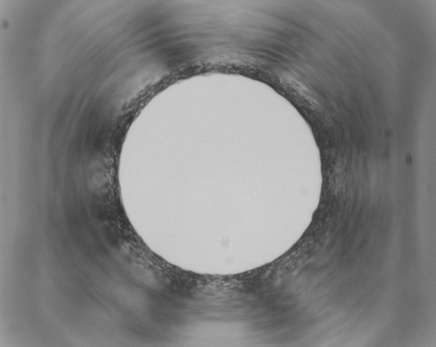 X0000088710824200705311355