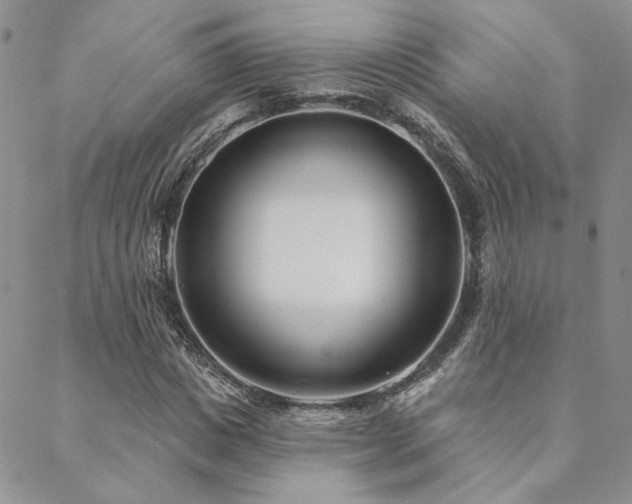 X0000088710825200705311355