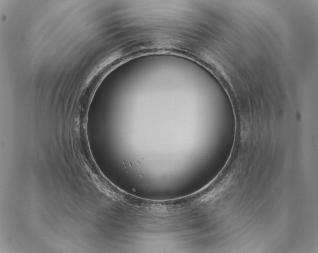 X0000088710827200705311355