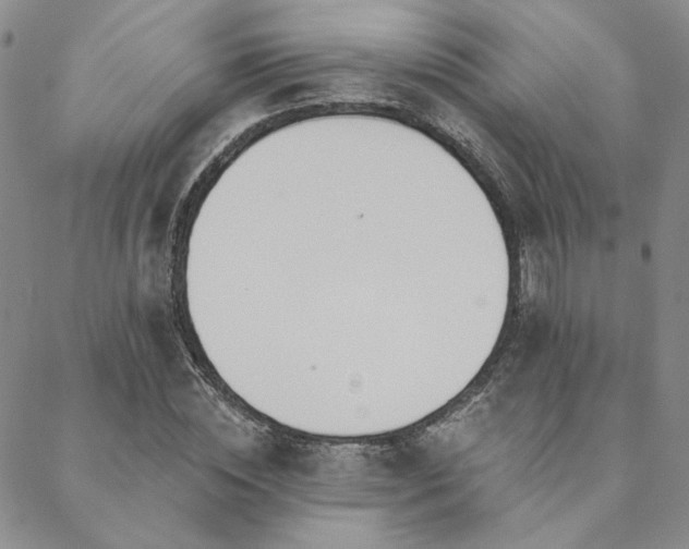 X0000088710828200705311355