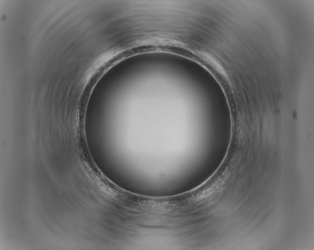 X0000088710831200705311355