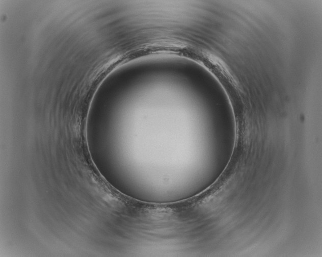X0000088710833200705311355