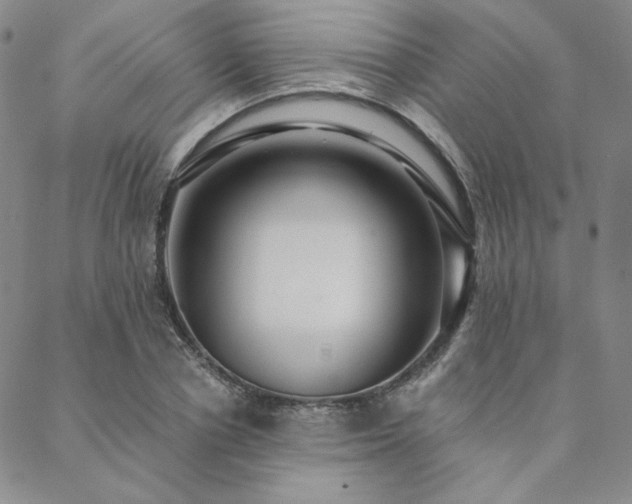 X0000088710834200705311355