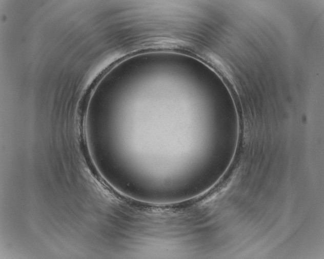 X0000088710835200705311355