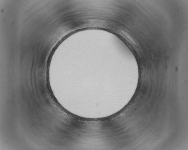 X0000088710836200705311356
