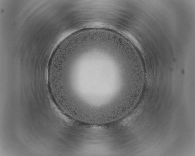 X0000088710839200705311356