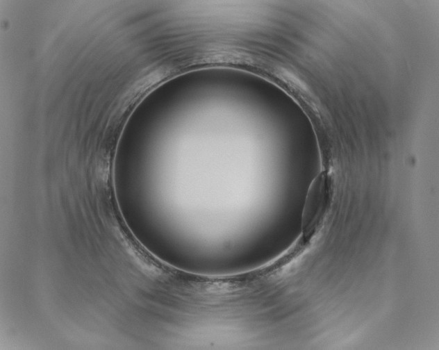 X0000088710841200705311356