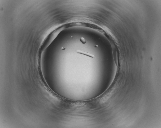 X0000088710846200705311356