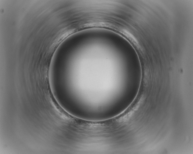 X0000088710849200705311356