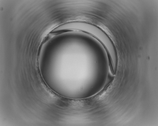 X0000088710850200705311356