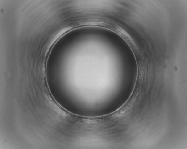 X0000088710852200705311356