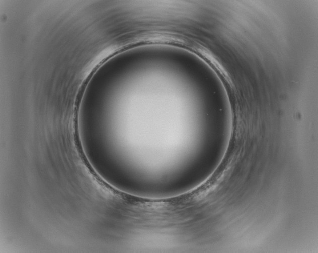 X0000088710853200705311356