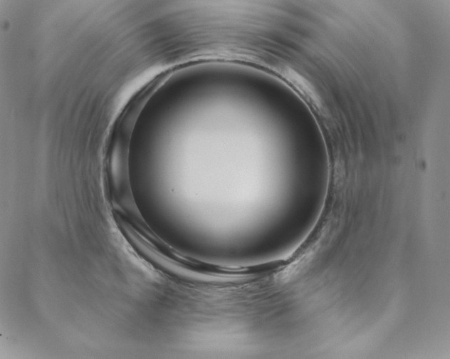 X0000088710854200705311356