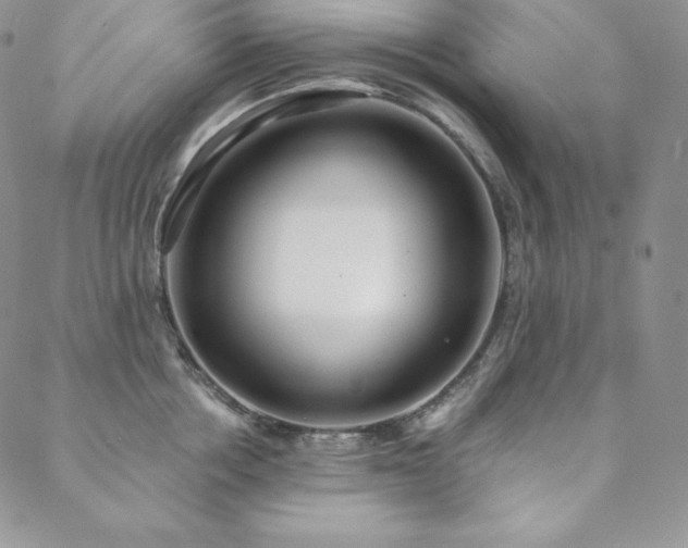 X0000088710858200705311356