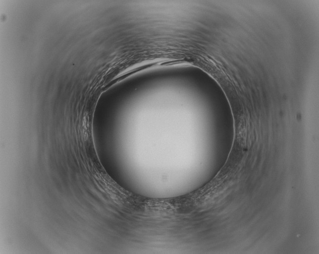 X0000088710866200705311355