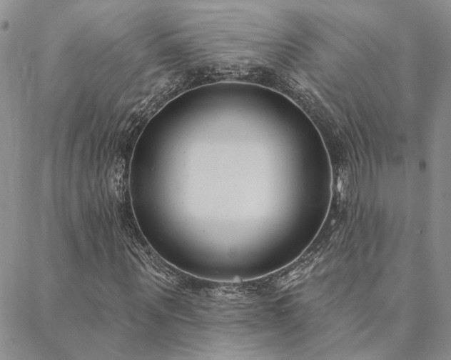 X0000088710867200705311355