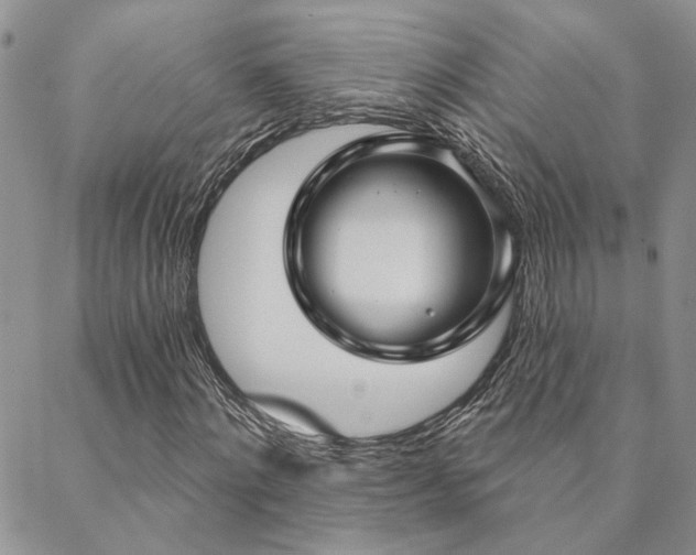 X0000088710868200705311355