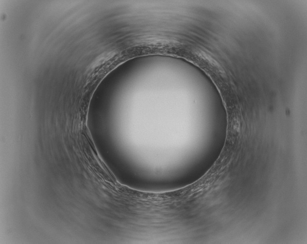 X0000088710869200705311355