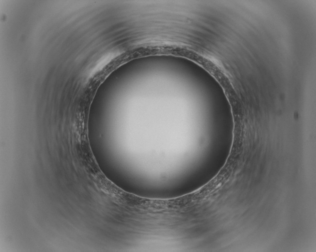 X0000088710871200705311355