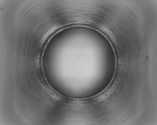 X0000088710875200705311355