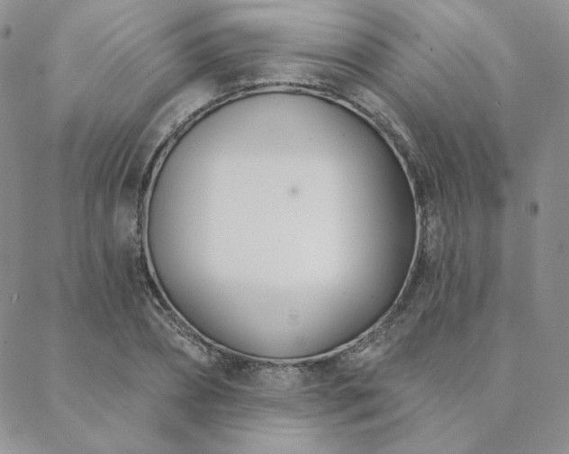 X0000088710882200705311355