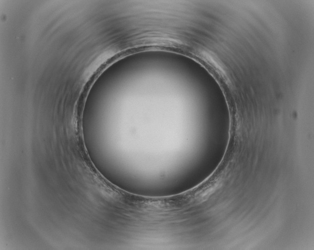 X0000088710883200705311355