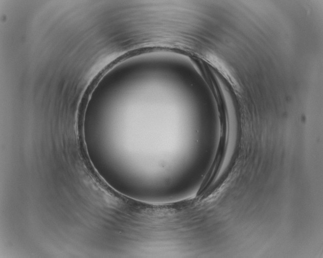 X0000088710884200705311355