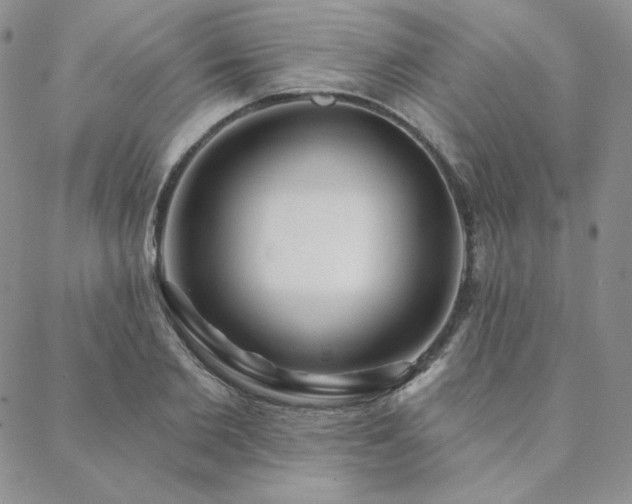 X0000088710885200705311355
