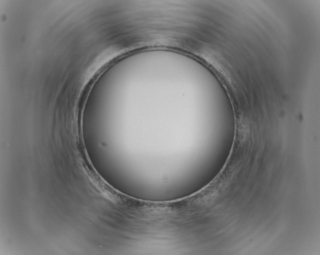 X0000088710886200705311355