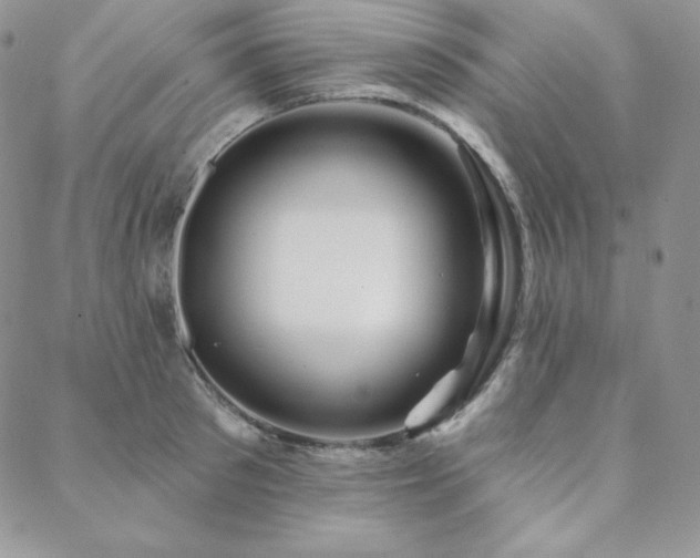 X0000088710897200705311355