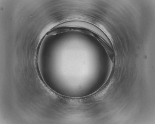 X0000088710901200705311355