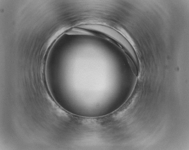 X0000088710909200705311354