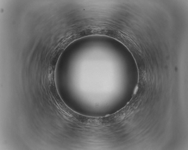 X0000088710914200705311354