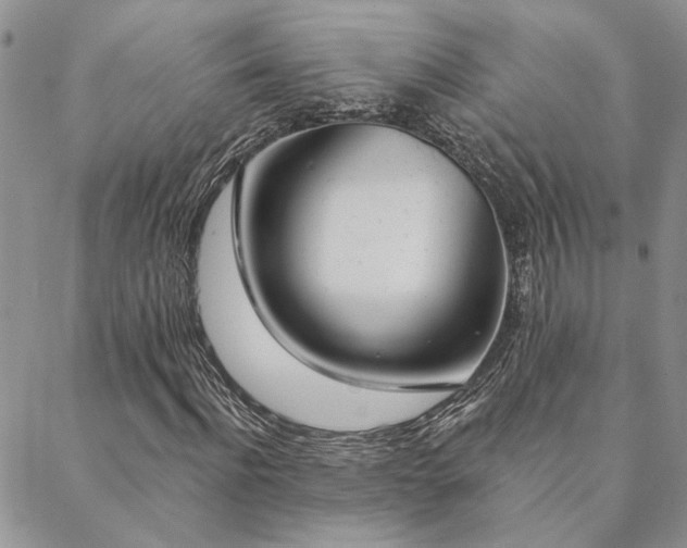 X0000088710916200705311354