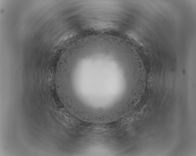 X0000088710917200705311354