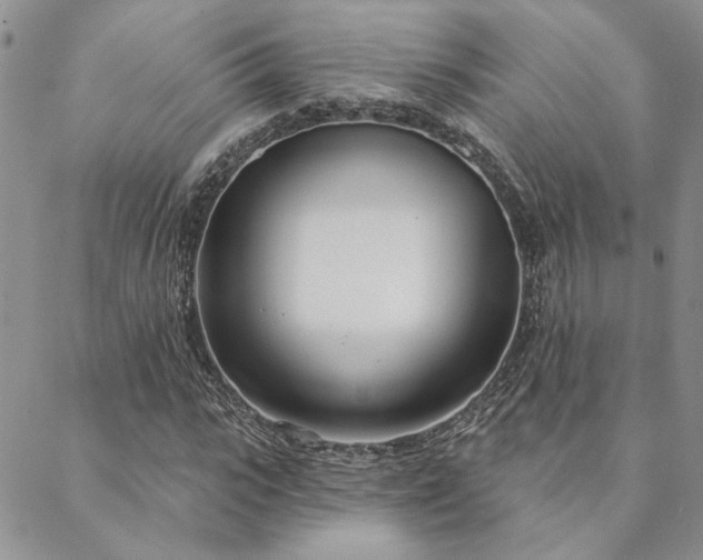 X0000088710919200705311354