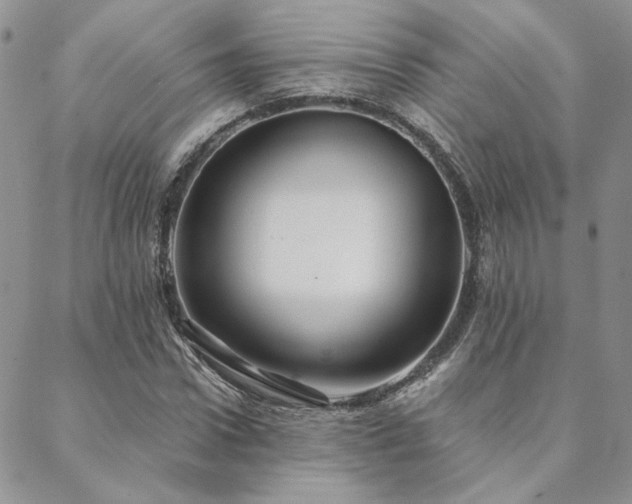 X0000088710922200705311354