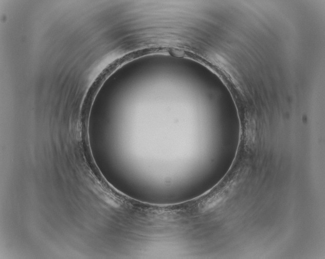 X0000088710924200705311354