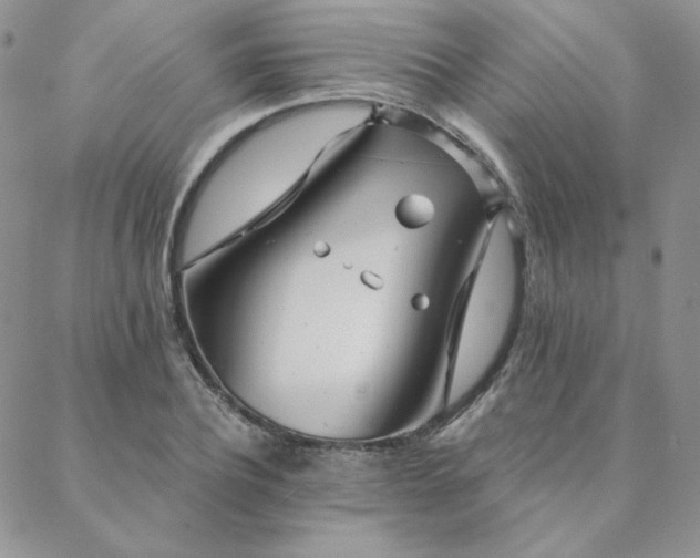 X0000088710932200705311354