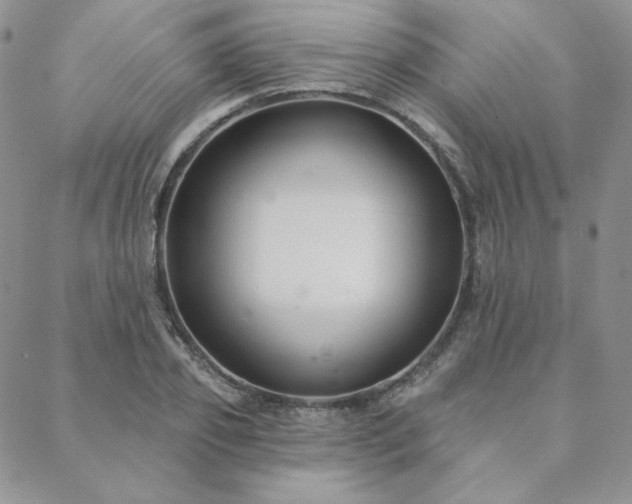 X0000088710933200705311354