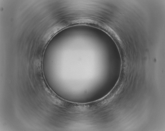 X0000088710937200705311354
