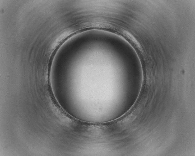 X0000088710938200705311354